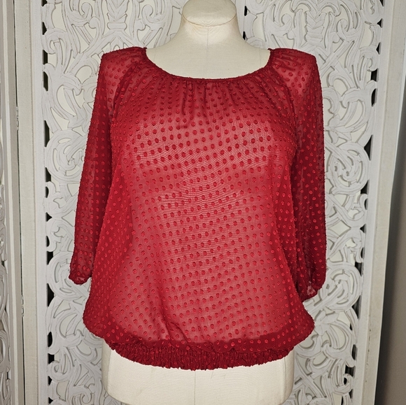 LOFT Red Sheer Swiss Dot Long Sleeve Blouse Size L - Picture 2 of 11